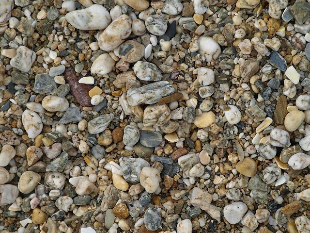APHOTOMARINE - A photographic guide to aid the recognition and identification of Pebble and Shingle Images Beach Material Images