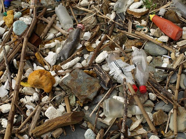 Strandline Plastic Debris Marine Environmental Images