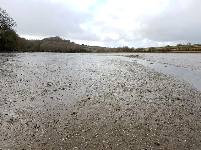 Tamar Estuary Shoreline Habitats Intertidal mudflats St Johns Millbrook Lake and West Mud Images